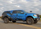 DesignerWraps-BlueWraptor oem-DSC 1129