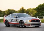 2013 mustang P51 redtails
