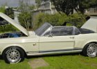 1968 mustang convertible gt500kr white blue 001
