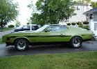 1972 mustang fastback mach1 medium lime black 001