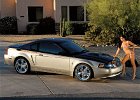 2001 mustang coupe bullitt silver black 001