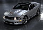 2009 mustang coupe sms 25a silver 001