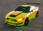 Ford "Ole Yeller" Mustang bred from Shelby GT350®
