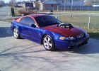 2004 mustang coupe red blue 001
