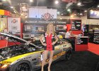 IMG 7584