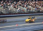 IMG 3736